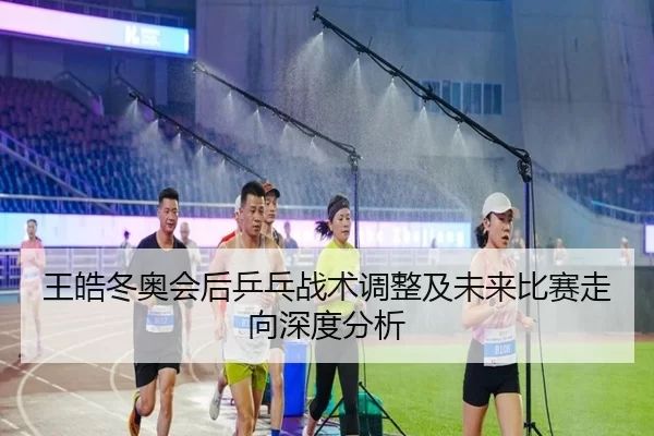 王皓冬奥会后乒乓战术调整及未来比赛走向深度分析